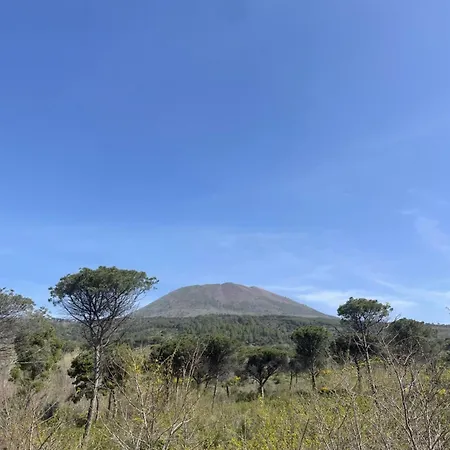 Armonia 公寓 托雷德尔格雷科